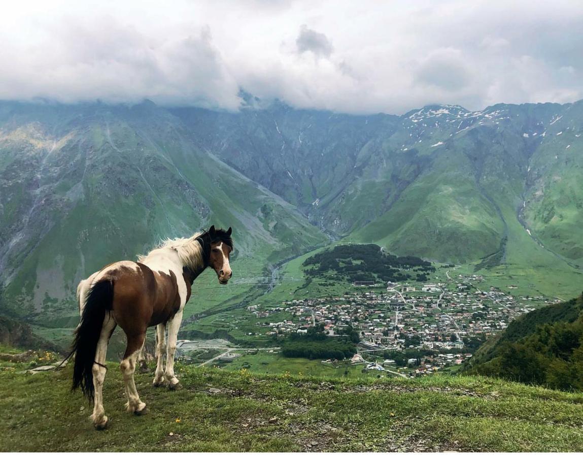 Mariami Hotel Kazbegi Exterior foto